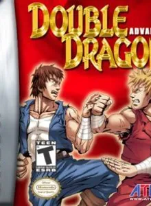 Double Dragon Advance