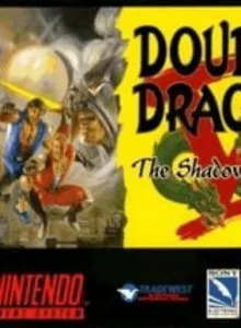 Double Dragon V – The Shadow Falls